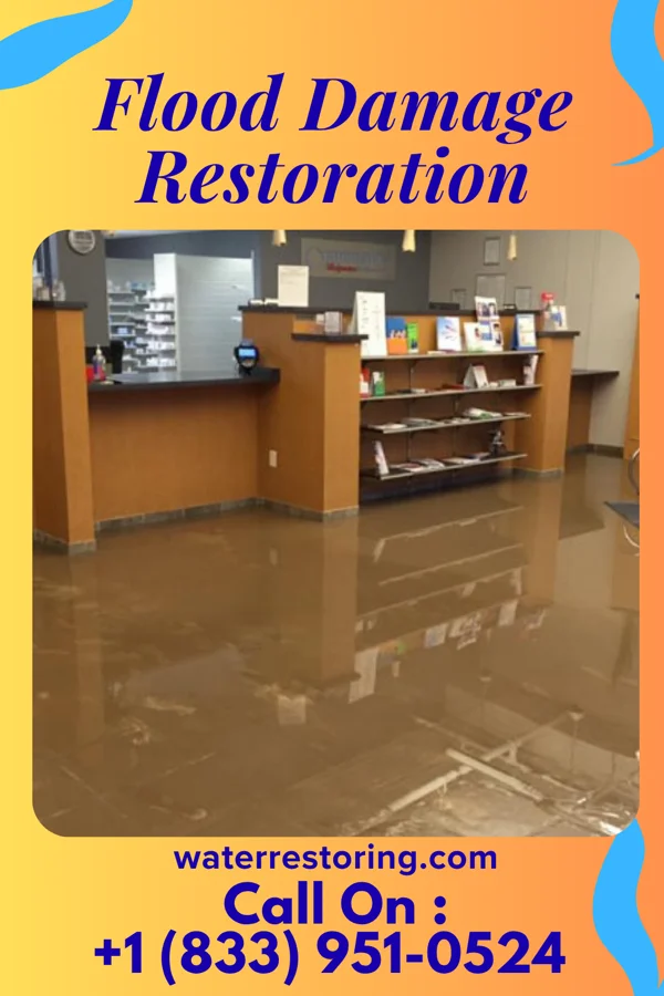 Flood Damage Restoration in Kingsley, KY