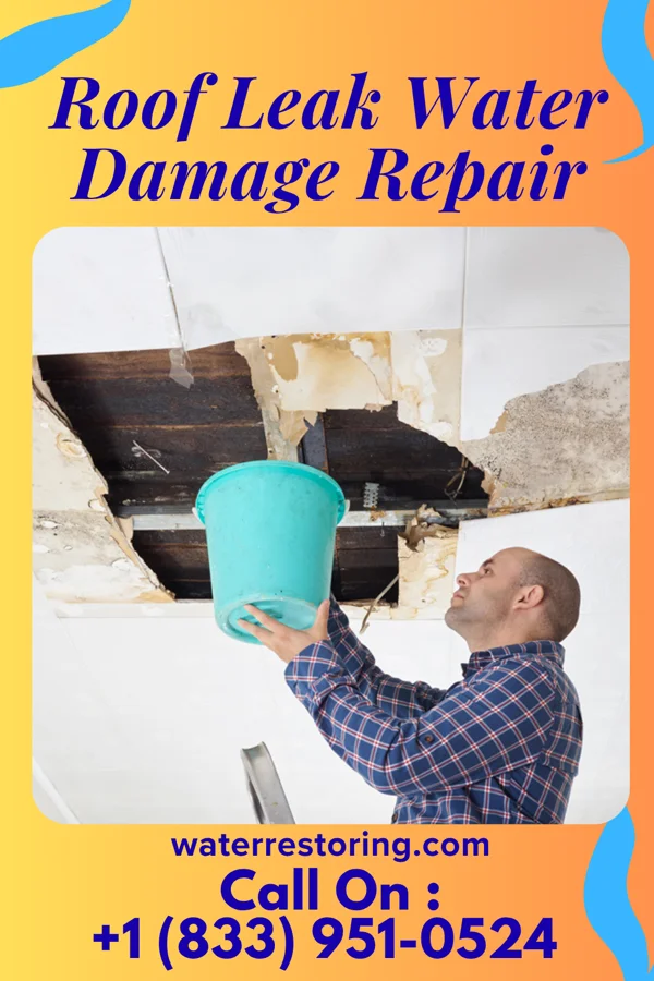 Roof Leak Water Damage Repair in Kingsley, KY