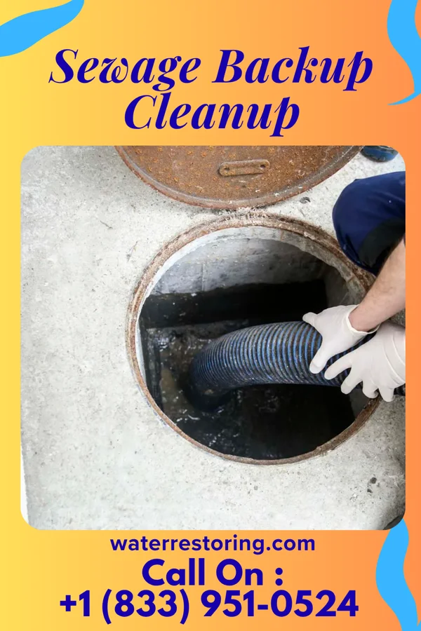 Sewage Backup Cleanup in Kingsley, KY